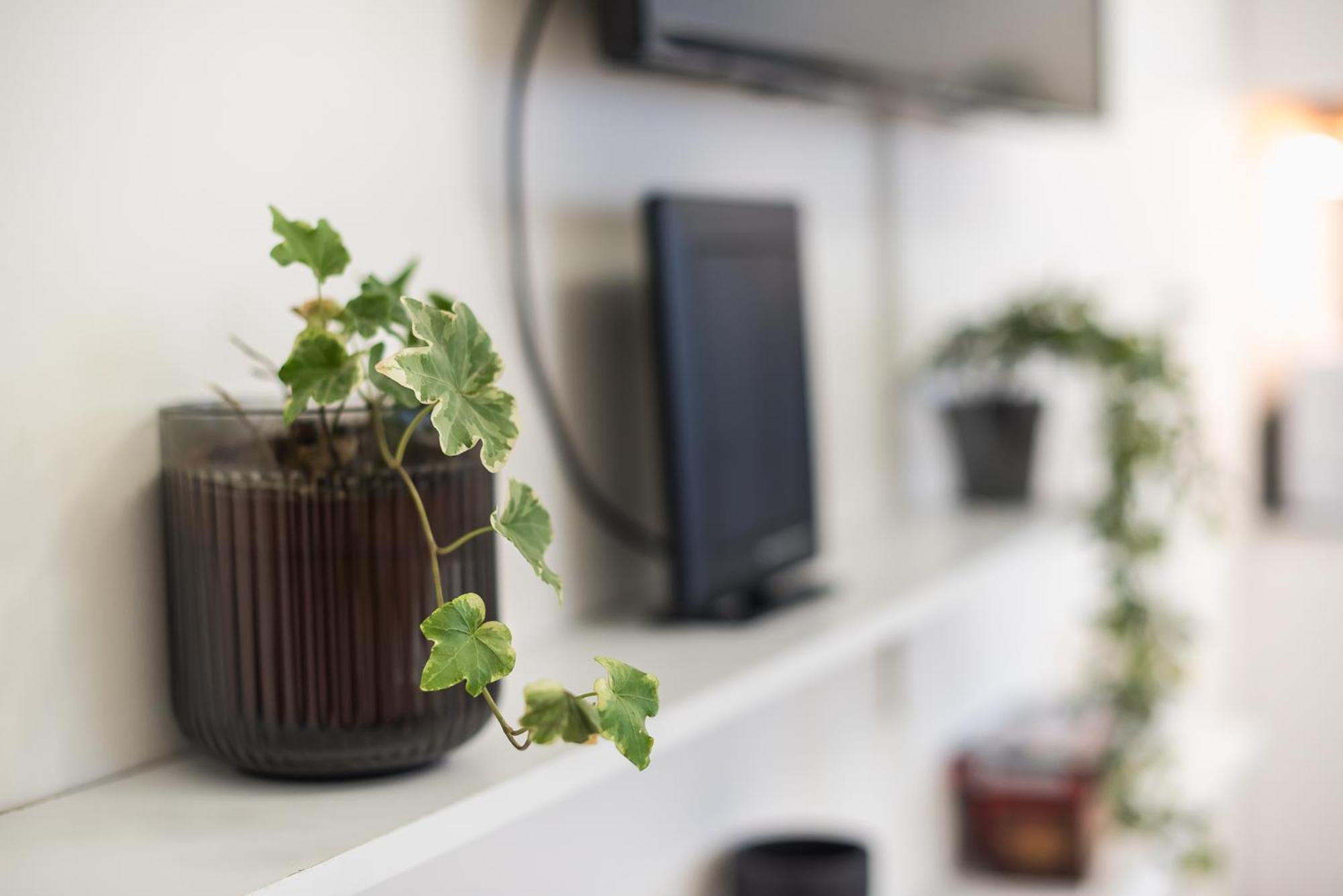 Modern Apartment 200M From Acropolis 100Mbps Netflix أثينا المظهر الخارجي الصورة