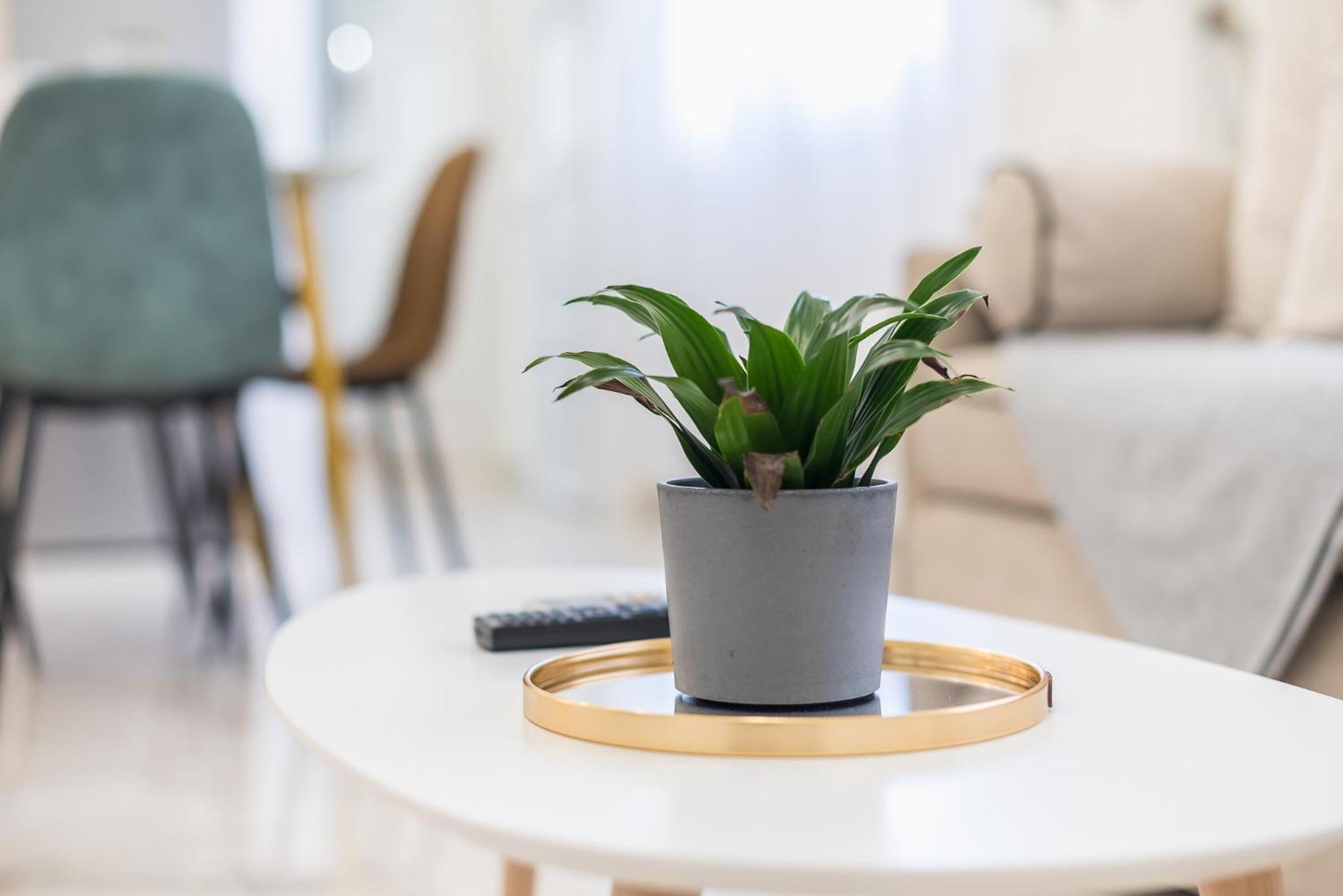 Modern Apartment 200M From Acropolis 100Mbps Netflix أثينا المظهر الخارجي الصورة